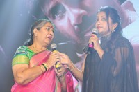 Disco Raja Pre Release Function